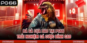 Đá Gà Cựa Dao Tại PG66 – Trải Nghiệm Cá Cược Đỉnh Cao