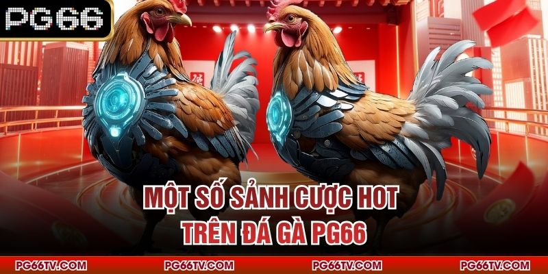 Một số sảnh cược hot trên đá gà PG66